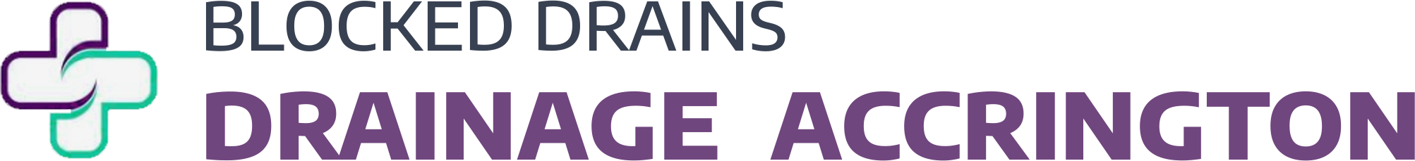 website logo